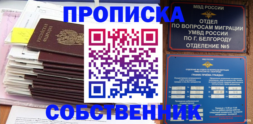 прописка законно в Высоковске